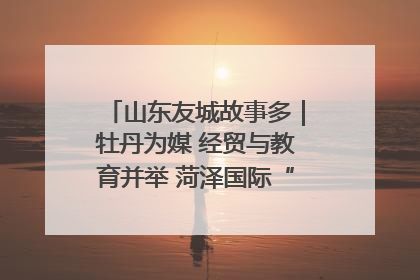 山东友城故事多｜牡丹为媒 经贸与教育并举 菏泽国际“朋友圈”扩容升级