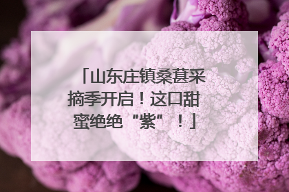 山东庄镇桑葚采摘季开启！这口甜蜜绝绝“紫”！