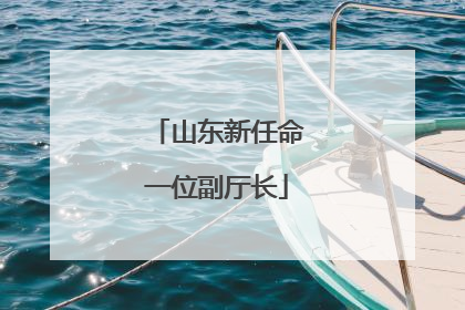 山东新任命一位副厅长