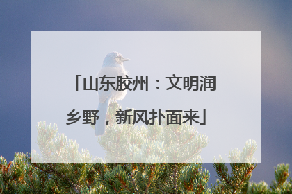 山东胶州：文明润乡野，新风扑面来