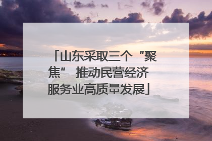 山东采取三个“聚焦” 推动民营经济服务业高质量发展