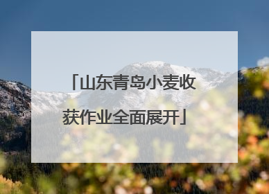 山东青岛小麦收获作业全面展开