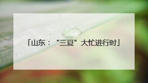 山东：“三夏”大忙进行时