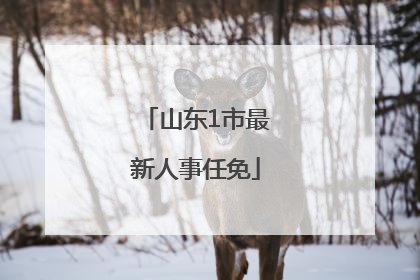山东1市最新人事任免