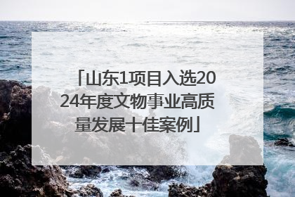山东1项目入选2024年度文物事业高质量发展十佳案例