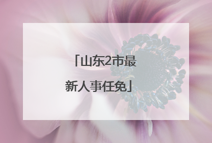 山东2市最新人事任免