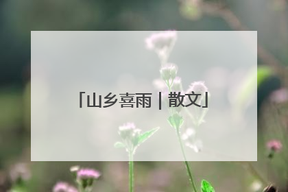 山乡喜雨｜散文