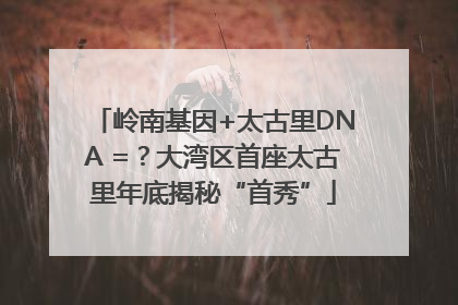 岭南基因+太古里DNA =？大湾区首座太古里年底揭秘“首秀”