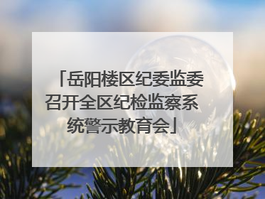岳阳楼区纪委监委召开全区纪检监察系统警示教育会