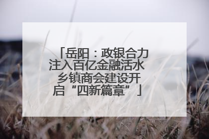 岳阳：政银合力注入百亿金融活水 乡镇商会建设开启“四新篇章”