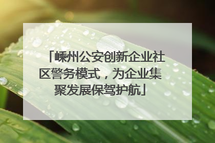 嵊州公安创新企业社区警务模式，为企业集聚发展保驾护航