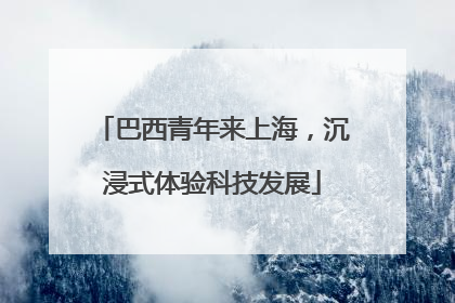 巴西青年来上海，沉浸式体验科技发展