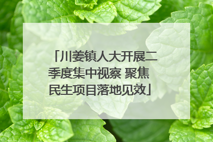 川姜镇人大开展二季度集中视察 聚焦民生项目落地见效