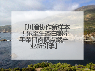 川渝协作新样本！乐至生态白鹅牵手荣昌卤鹅点燃产业新引擎