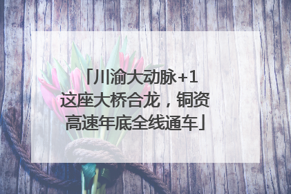 川渝大动脉+1 这座大桥合龙，铜资高速年底全线通车