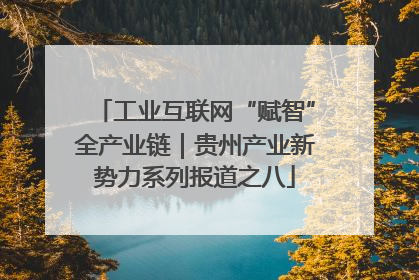 工业互联网“赋智”全产业链｜贵州产业新势力系列报道之八