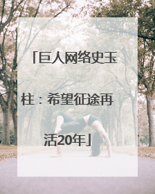 巨人网络史玉柱：希望征途再活20年