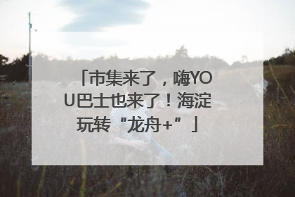 市集来了，嗨YOU巴士也来了！海淀玩转“龙舟+”