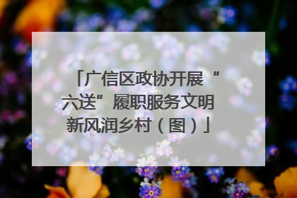 广信区政协开展“六送”履职服务文明新风润乡村（图）