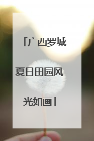 广西罗城夏日田园风光如画