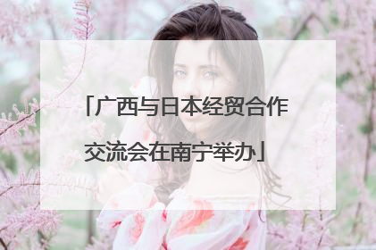 广西与日本经贸合作交流会在南宁举办