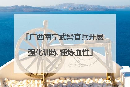 广西南宁武警官兵开展强化训练 锤炼血性