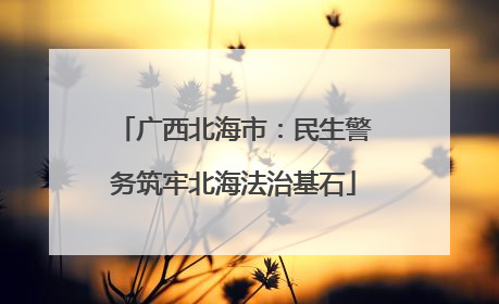 广西北海市：民生警务筑牢北海法治基石