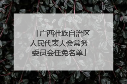 广西壮族自治区人民代表大会常务委员会任免名单