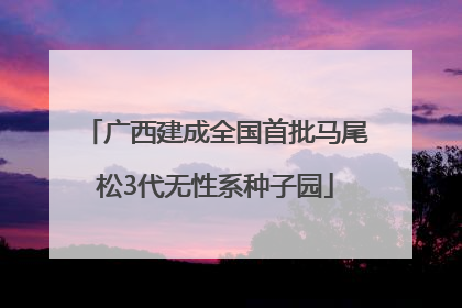 广西建成全国首批马尾松3代无性系种子园