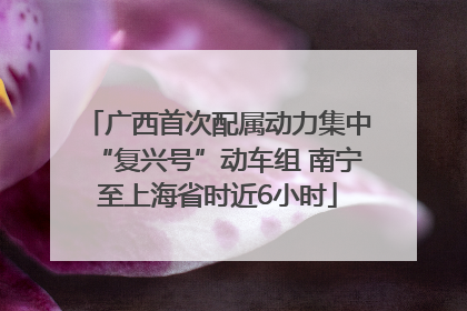 广西首次配属动力集中“复兴号”动车组 南宁至上海省时近6小时