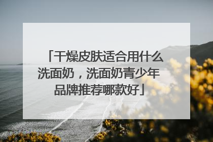 干燥皮肤适合用什么洗面奶，洗面奶青少年品牌推荐哪款好
