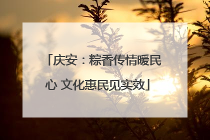 庆安：粽香传情暖民心 文化惠民见实效