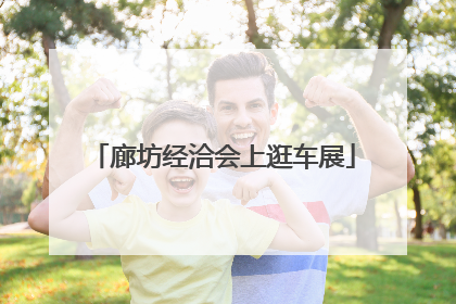 廊坊经洽会上逛车展