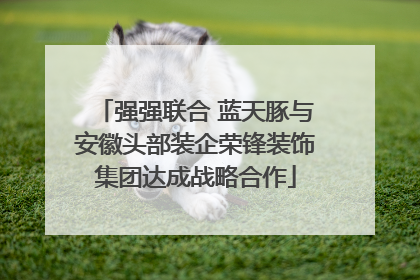 强强联合 蓝天豚与安徽头部装企荣锋装饰集团达成战略合作