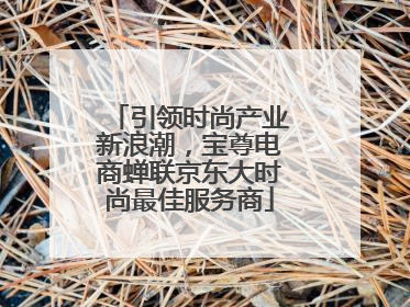 引领时尚产业新浪潮，宝尊电商蝉联京东大时尚最佳服务商