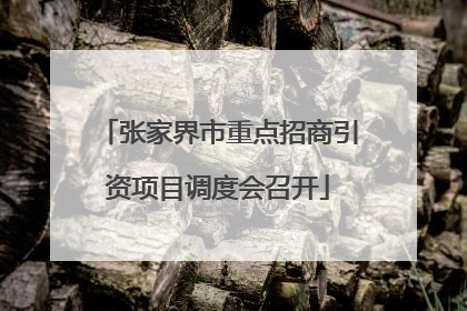 张家界市重点招商引资项目调度会召开