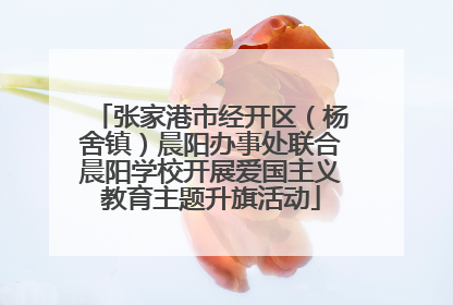 张家港市经开区（杨舍镇）晨阳办事处联合晨阳学校开展爱国主义教育主题升旗活动