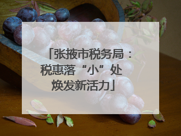 张掖市税务局：税惠落“小”处 焕发新活力