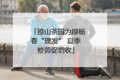 捺山茶园为绿杨春“理发” 夏季修剪促增收
