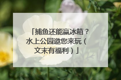 捕鱼还能赢冰箱？水上公园邀您来玩（文末有福利）