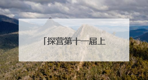 探营第十一届上交会：脑机接口、大模型安全、跨境身份核验等新技术将悉数亮相