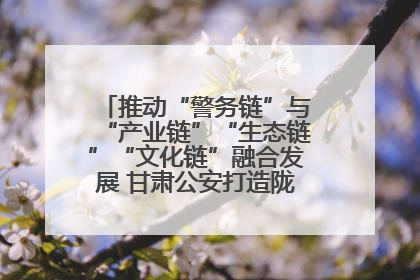 推动“警务链”与“产业链”“生态链”“文化链”融合发展 甘肃公安打造陇原旅游警务品牌