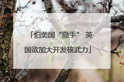 怕美国“撒手” 英国欲加大开发核武力