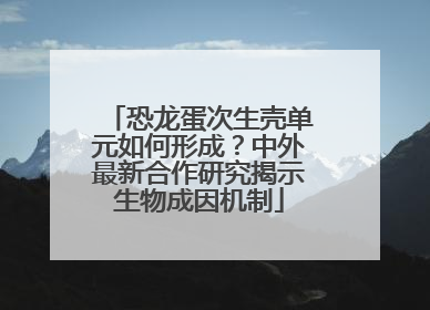 恐龙蛋次生壳单元如何形成？中外最新合作研究揭示生物成因机制