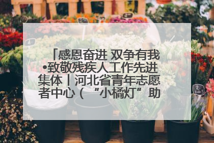 感恩奋进 双争有我•致敬残疾人工作先进集体丨河北省青年志愿者中心（“小橘灯”助残接力计划实施团队）：用温暖陪伴，守护特殊孩子成长