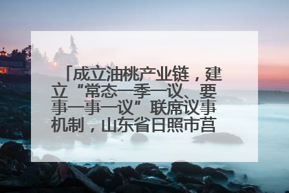 成立油桃产业链，建立“常态一季一议、要事一事一议”联席议事机制，山东省日照市莒县果庄镇——13个党小组“全周期”育果