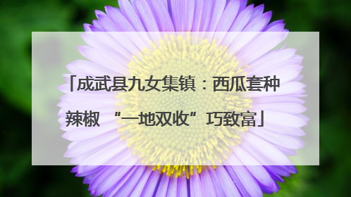 成武县九女集镇：西瓜套种辣椒 “一地双收”巧致富