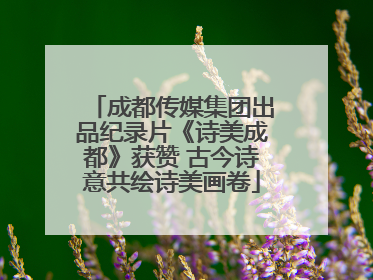 成都传媒集团出品纪录片《诗美成都》获赞 古今诗意共绘诗美画卷