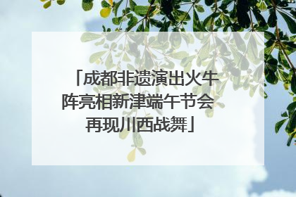 成都非遗演出火牛阵亮相新津端午节会 再现川西战舞