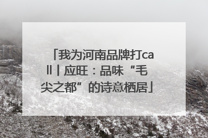我为河南品牌打call丨应旺：品味“毛尖之都”的诗意栖居
